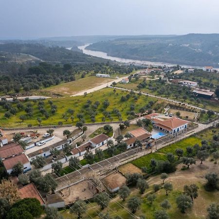 Гостевой дом Quinta Ribeiro Tanquinhos Tancos Экстерьер фото