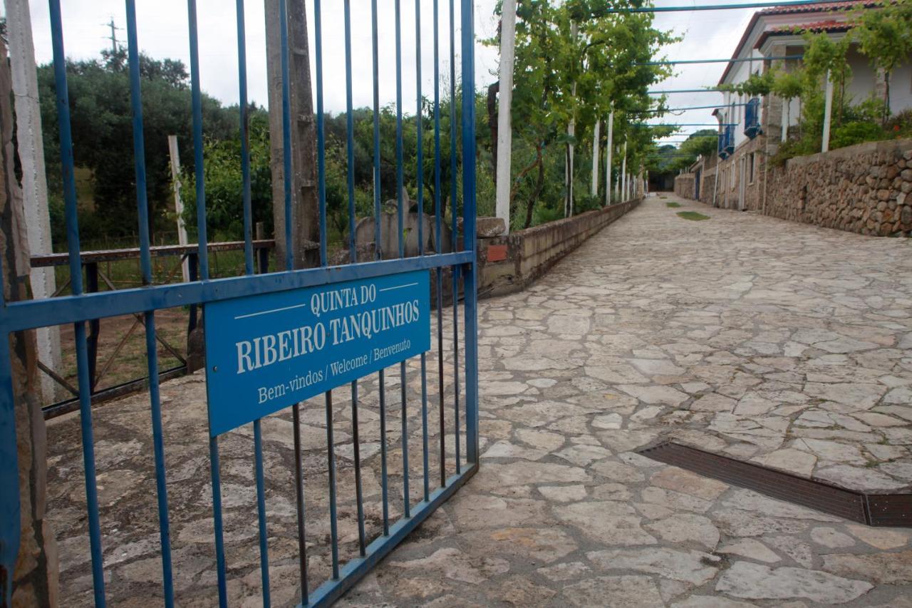 Гостевой дом Quinta Ribeiro Tanquinhos Tancos Экстерьер фото