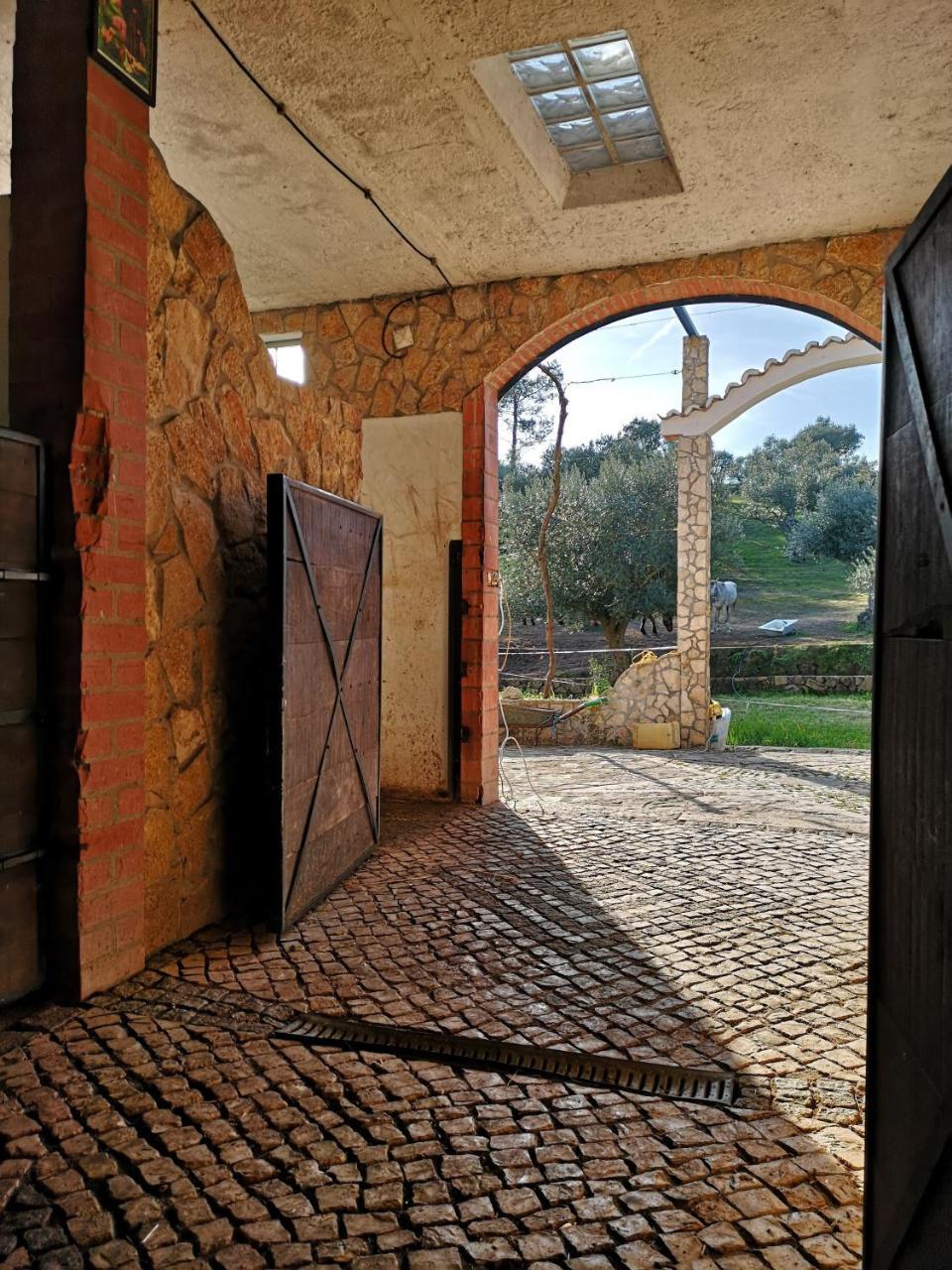 Гостевой дом Quinta Ribeiro Tanquinhos Tancos Экстерьер фото